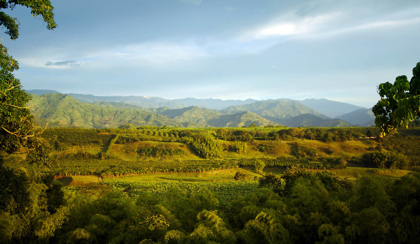 Hacienda Bambusa El Caimo Eksteriør bilde